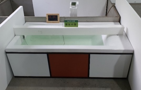 에코바 304